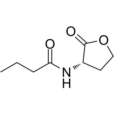 (S)-N-(2-Oxotetrahydrofuran-3-yl)butyraMide