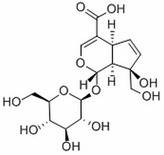 1α-(β-D-Glucopyranosyloxy)-1,4aα,7,7aα-tetrahydro-7β-hydroxy-7-(hydroxymethyl)cyclopenta[c]pyran-4-carboxylic acid