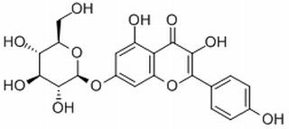 KaeMpferol7-b-D-glucopyranoside