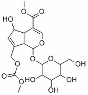 Methyl pederosidate