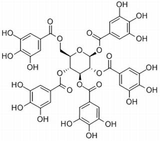 1,2,3,4,6-pentakis-O-(3,4,5-trihydroxybenzoyl)-beta-D-glucopyranose