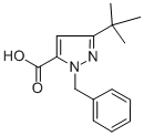1-苄基-3-叔丁基-1H-吡唑-5-羧酸