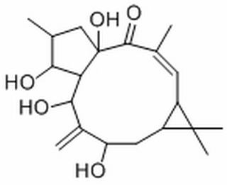 7β-Hydroxylathyrol