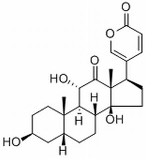 (3beta,5beta,11alpha)-3,11,14-Trihydroxy-12-oxobufa-20,22-dienolide