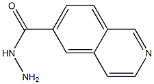 异喹啉-6-卡巴肼