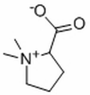 (2s)-1,1-dimethylpyrrolidinium-2-carboxylate