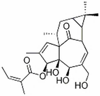 (2Z)-2-Methyl-2-butenoic acid (1aR,2S,5R,5aS,6S,8aS,9R,10aR)-1a,2,5,5a,6,9,10,10a-octahydro-5,5a-dihydroxy-4-(hydroxymethyl)-1,1,7,9-tetramethyl-11-oxo-1H-2,8a-methanocyclopenta[a]cyclopropa[e]cyclodecen-6-yl ester