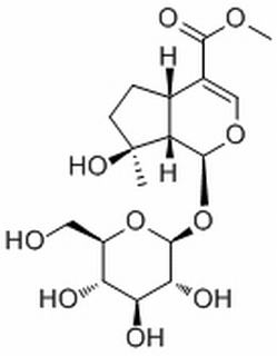 Methyl(1S,4aS,7S,7aS)-1-(β-D-glucopyranosyloxy)-7-hydroxy-7-methyl-1,4a,5,6,7,7a-hexahydrocyclopenta[c]pyran-4-carboxylate