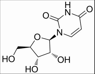 尿嘧啶-1-Β-D-呋喃核糖苷