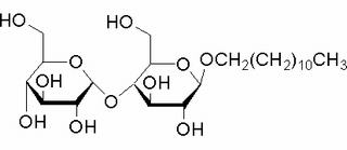 DODECYL Β-D-MALTOPYRANOSIDE 十二烷基-Β-D-麦芽糖苷