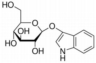1H-Indol-3-yl β-D-glucopyranoside