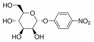 P-NITROPHENYL-ALPHA-D-MANNOSIDE