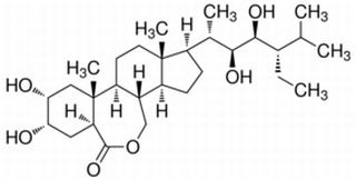 (2R,3S,22S,24S)-2,3,22,23-TETRAHYDROXY-24-ETHYL-BETA-HOMO-7-OXA-5A-CHOLESTAN-6-ONE