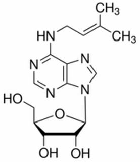 2iP Riboside