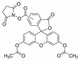 5(6)-Carboxyfluorescein diacetate, succinimidyl ester(CFDA)