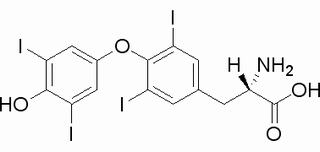 beta-[(3,5-diiodo-4-hydroxyphenoxy)-3,5-diiodophenyl]alanine