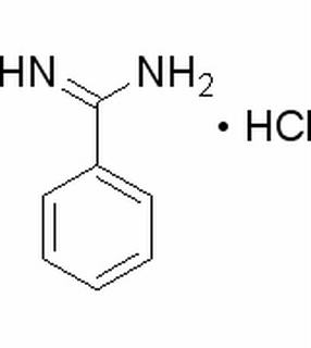Benzamidine hydrochl