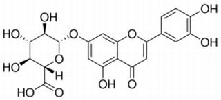 Luteolin-7-O-glucuronide