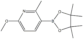 6-Methoxy-2-methyl-3-(4,4,5,5-tetramethyl-[1,3,2] dioxaborolan-2-yl)-pyridine