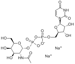 Udp-Alpha-D-N-Acetylgalactosamine, Disodium Salt