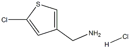 (5-氯噻吩-3-基)甲胺盐酸盐