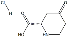(S)-4-氧代哌啶-2-羧酸盐酸盐