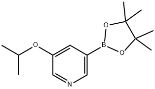 5-异丙氧基吡啶-3-硼酸频那醇酯