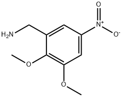 (2,3-dimethoxy-5-nitrophenyl)methanamine