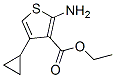 2-氨基-4-环丙基-噻吩-3-羧酸乙酯