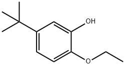 5-tert-butyl-2-ethoxyphenol