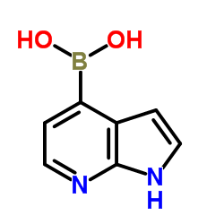 B-1H-Pyrrolo[2,3-b]pyridin-4-ylboronic acid