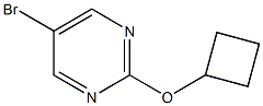 5-溴-2-环丁氧基嘧啶