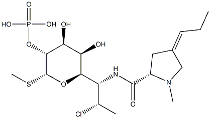 3',6'-脱氢克林霉素-2磷酸盐