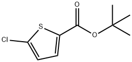 tert-Butyl 5-chlorothiophene-2-carboxylate
