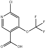 2-Chloro-4-(trifluoromethoxy)pyridine-5-carboxylic acid