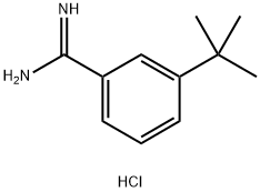 3-叔丁基苯甲M盐酸盐