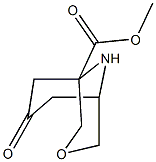7-oxo-3-oxa-9-aza-bicyclo[3.3.1]nonane-1-carboxylic acid methyl ester