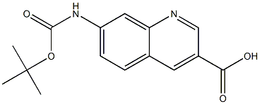 7-((叔-丁氧羰基)氨基)喹啉-3-羧酸
