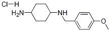 (1R,4R)-N1-(4-Methoxy-benzyl)-cyclohexane-1,4-diaMine hydrochloride