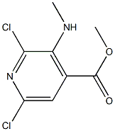 Methyl 2,6-Dichloro-3-(MethylaMino)isonicotinate