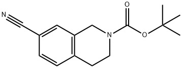 7-cyano-3,4-dihydroisoquinolin-2(1H)-carboxylic acid t-butyl ester