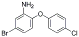 5-BROMO-2-(4-CHLOROPHENOXY)ANILINE