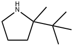 2-tert-butyl-2-methylpyrrolidine