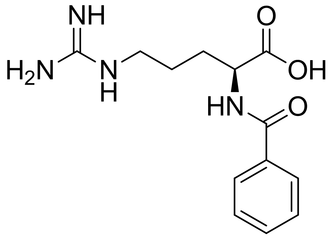 N-Benzoyl-L-arginine