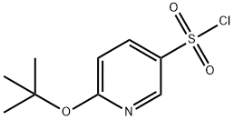 6-(tert-butoxy)pyridine-3-sulfonyl chloride