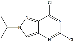 5,7-二氯-2-(丙烷-2-基)-2H-吡唑并[4,3-D]嘧啶