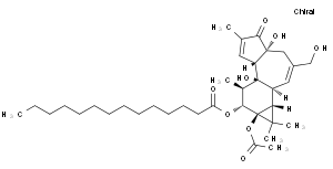 13-o-acetylphorbol12-myristate