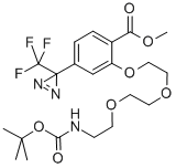 2-[2-[2-(2-t-Boc-aminoethoxy]ethoxy]ethoxy]-4-[3-(trifluoromethyl)-3H-diazirin-3-yl]benzoic Acid, Methyl Ester