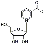 nicotinic acid ribonucleoside