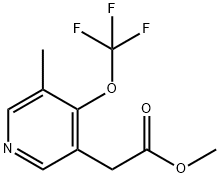 Methyl 3-methyl-4-(trifluoromethoxy)pyridine-5-acetate